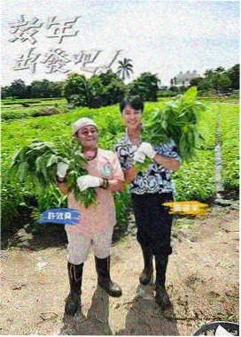 王牌对王牌8 大地影院在线观看